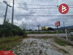 ขายที่ดิน เนื้อที่ 1 ไร่ หนองรี ชลบุรี-202511141550301763110230342.jpg