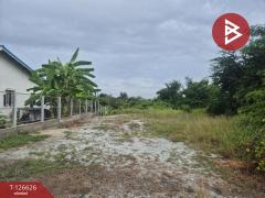 ขายที่ดิน เนื้อที่ 1 ไร่ หนองรี ชลบุรี-202511141550311763110231419.jpg