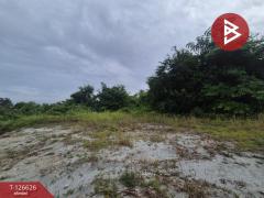 ขายที่ดิน เนื้อที่ 1 ไร่ หนองรี ชลบุรี-202511141550321763110232664.jpg