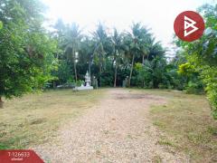 ขายอาคารพาณิชย์ เนื้อที่ 13.8 ตร.วา หน้าเมือง ราชบุรี-202511141641251763113285869.jpg