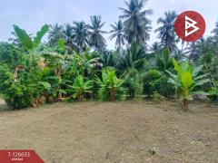 ขายอาคารพาณิชย์ เนื้อที่ 13.8 ตร.วา หน้าเมือง ราชบุรี-202511141641261763113286400.jpg