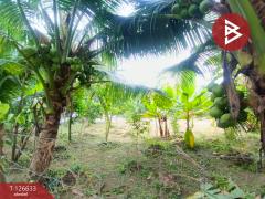 ขายอาคารพาณิชย์ เนื้อที่ 13.8 ตร.วา หน้าเมือง ราชบุรี-202511141641261763113286928.jpg