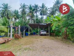 ขายอาคารพาณิชย์ เนื้อที่ 13.8 ตร.วา หน้าเมือง ราชบุรี-202511141641271763113287459.jpg