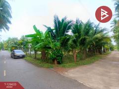 ขายบ้านเดี่ยวพร้อมที่ดิน เนื้อที่ 2 งาน 40.6 ตารางวา ต.สวนหลวง สมุทรสงคราม-202511141641281763113288510.jpg