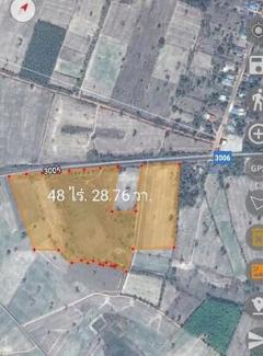 ขายด่าน! ที่ดินถนน อจ.3006 อ.ชานุมาน จ.อำนาจเจริญ 43.3 ไร่ -202511141708221763114902739.jpg