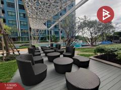 ขายคอนโด เดอะนิช โมโน รัชวิภา กรุงเทพมหานคร (The Niche Mono Ratchavipha)-202511141729141763116154892.jpg