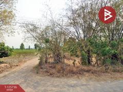 ขายด่วนที่ดิน เนื้อที่ 83 ไร่ 3 งาน 60 ตารางวา สวนผึ้ง ราชบุรี-202511141741021763116862108.jpg