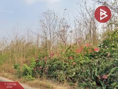 ขายด่วนที่ดิน เนื้อที่ 83 ไร่ 3 งาน 60 ตารางวา สวนผึ้ง ราชบุรี-202511141741031763116863025.jpg