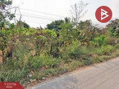 ขายด่วนที่ดิน เนื้อที่ 83 ไร่ 3 งาน 60 ตารางวา สวนผึ้ง ราชบุรี-202511141741031763116863933.jpg