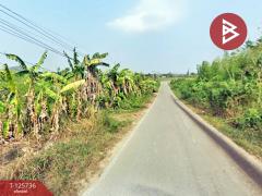 ขายด่วนที่ดิน เนื้อที่ 83 ไร่ 3 งาน 60 ตารางวา สวนผึ้ง ราชบุรี-202511141741051763116865749.jpg