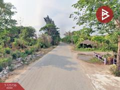 ขายด่วนที่ดิน เนื้อที่ 83 ไร่ 3 งาน 60 ตารางวา สวนผึ้ง ราชบุรี-202511141741071763116867174.jpg