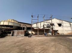 ให้เช่า/ขายโรงงาน โกดัง 31 ไร่ ปราจีนบุรี พร้อมใบอนุญาติประกอบกิจการ ทำเลดี ถนนสายกบินทร์บุรี-ปักธงชัย-202511142003021763125382814.jpg