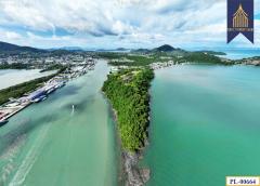 ขายที่ดิน ติดทะเล 51 ไร่ ภูเก็ต เกาะสิเหร่ ใกล้ท่าเรือรัษฎา ไปเกาะพีพีและอ่าวต้นไทร-202511142253071763135587927.jpg