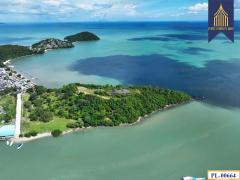 ขายที่ดิน ติดทะเล 51 ไร่ ภูเก็ต เกาะสิเหร่ ใกล้ท่าเรือรัษฎา ไปเกาะพีพีและอ่าวต้นไทร-202511142253081763135588947.jpg