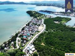ขายที่ดิน ติดทะเล 51 ไร่ ภูเก็ต เกาะสิเหร่ ใกล้ท่าเรือรัษฎา ไปเกาะพีพีและอ่าวต้นไทร-202511142253091763135589962.jpg