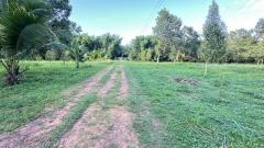 ที่ดินวิวสวยทำเลเหมาะอากาศดี ขายที่ดินใกล้หาดบางเบิด ติดถนนทางหลวง ใกล้หาด1 กม. +ขนาดที่ดิน 50-1-18 ไร่ โฉนดครุฑแดง พร้อมโอน ไร่ล่ะ 8 แสน