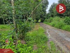 ขายที่ดินถมแล้ว เนื้อที่ 6 ไร่ 2 งาน 53.4 ตร.วา นาตาขวัญ ระยอง-202511151055501763178950476.jpg