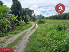 ขายที่ดินถมแล้ว เนื้อที่ 6 ไร่ 2 งาน 53.4 ตร.วา นาตาขวัญ ระยอง-202511151055511763178951039.jpg