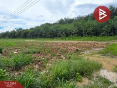 ขายที่ดินถมแล้ว เนื้อที่ 6 ไร่ 2 งาน 53.4 ตร.วา นาตาขวัญ ระยอง-202511151055511763178951599.jpg