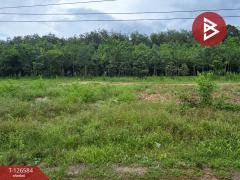 ขายที่ดินถมแล้ว เนื้อที่ 6 ไร่ 2 งาน 53.4 ตร.วา นาตาขวัญ ระยอง-202511151055521763178952614.jpg