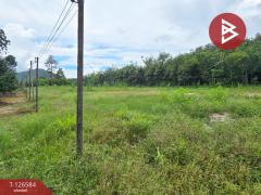 ขายที่ดินถมแล้ว เนื้อที่ 6 ไร่ 2 งาน 53.4 ตร.วา นาตาขวัญ ระยอง-202511151055531763178953732.jpg