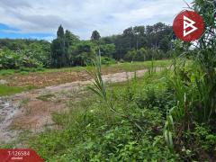 ขายที่ดินถมแล้ว เนื้อที่ 6 ไร่ 2 งาน 53.4 ตร.วา นาตาขวัญ ระยอง-202511151055541763178954289.jpg