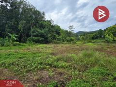 ขายที่ดินถมแล้ว เนื้อที่ 6 ไร่ 2 งาน 53.4 ตร.วา นาตาขวัญ ระยอง-202511151055541763178954852.jpg