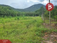 ขายที่ดินถมแล้ว เนื้อที่ 6 ไร่ 2 งาน 53.4 ตร.วา นาตาขวัญ ระยอง-202511151055551763178955413.jpg