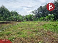 ขายที่ดินถมแล้ว เนื้อที่ 6 ไร่ 2 งาน 53.4 ตร.วา นาตาขวัญ ระยอง-202511151055551763178955974.jpg