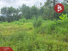 ขายที่ดินถมแล้ว เนื้อที่ 6 ไร่ 2 งาน 53.4 ตร.วา นาตาขวัญ ระยอง-202511151055561763178956731.jpg