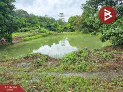 ขายที่ดินถมแล้ว เนื้อที่ 6 ไร่ 2 งาน 53.4 ตร.วา นาตาขวัญ ระยอง-202511151055571763178957294.jpg