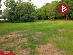 ขายที่ดิน-เนื้อที่-2-ไร่-ดอนกำยาน-สุพ