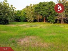 ขายที่ดิน เนื้อที่ 2 ไร่ ดอนกำยาน สุพรรณบุรี ทำเลดี ราคาถูก-202511151105201763179520416.jpg