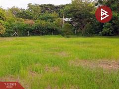 ขายที่ดิน เนื้อที่ 2 ไร่ ดอนกำยาน สุพรรณบุรี ทำเลดี ราคาถูก-202511151105201763179520974.jpg