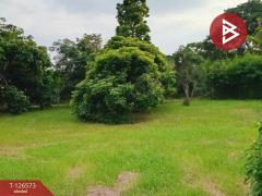 ขายที่ดิน เนื้อที่ 2 ไร่ ดอนกำยาน สุพรรณบุรี ทำเลดี ราคาถูก-202511151105211763179521519.jpg