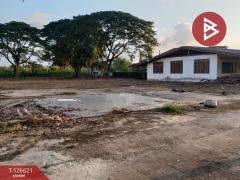 ขายที่ดิน เนื้อที่ 8 ไร่ 2 งาน 73.3 ตร.วา วัดจันทร์ พิษณุโลก-202511151226161763184376210.jpg