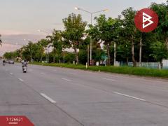 ขายที่ดิน เนื้อที่ 8 ไร่ 2 งาน 73.3 ตร.วา วัดจันทร์ พิษณุโลก-202511151226191763184379440.jpg