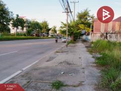 ขายที่ดิน เนื้อที่ 8 ไร่ 2 งาน 73.3 ตร.วา วัดจันทร์ พิษณุโลก-202511151226191763184379974.jpg