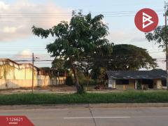 ขายที่ดิน เนื้อที่ 8 ไร่ 2 งาน 73.3 ตร.วา วัดจันทร์ พิษณุโลก-202511151226201763184380631.jpg