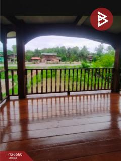 ขายบ้านเดี่ยวพร้อมที่ดิน เนื้อที่ 2 งาน 7 ตร.วา ท่าปลา อุตรดิตถ์-202511151246241763185584518.jpg