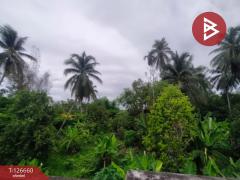 ขายบ้านเดี่ยวพร้อมที่ดิน เนื้อที่ 2 งาน 7 ตร.วา ท่าปลา อุตรดิตถ์-202511151246261763185586503.jpg