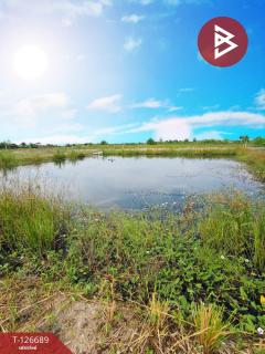 ขายบ้านเดี่ยวสวนพร้อมที่ดิน เนื้อที่ 2 ไร่ 47 ตร.วา หนองจอก กรุงเทพมหานคร-202511151420531763191253069.jpg