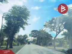 ขายบ้านเดี่ยวสวนพร้อมที่ดิน เนื้อที่ 2 ไร่ 47 ตร.วา หนองจอก กรุงเทพมหานคร-202511151420561763191256177.jpg