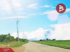 ขายบ้านเดี่ยวสวนพร้อมที่ดิน เนื้อที่ 2 ไร่ 47 ตร.วา หนองจอก กรุงเทพมหานคร-202511151420561763191256824.jpg