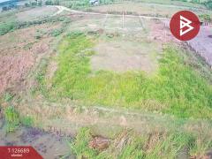 ขายบ้านเดี่ยวสวนพร้อมที่ดิน เนื้อที่ 2 ไร่ 47 ตร.วา หนองจอก กรุงเทพมหานคร-202511151420581763191258049.jpg