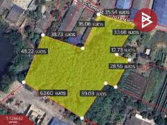 ขายที่ดิน เนื้อที่ 3 ไร่ 26.4 ตร.วา เกาะขวาง จันทบุรี-202511151438231763192303502.jpg