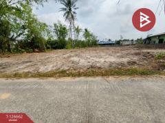 ขายที่ดิน เนื้อที่ 3 ไร่ 26.4 ตร.วา เกาะขวาง จันทบุรี-202511151438251763192305260.jpg