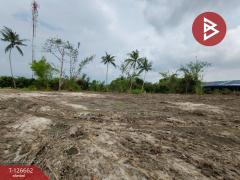 ขายที่ดิน เนื้อที่ 3 ไร่ 26.4 ตร.วา เกาะขวาง จันทบุรี-202511151438271763192307026.jpg