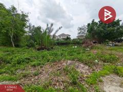 ขายที่ดิน เนื้อที่ 3 ไร่ 26.4 ตร.วา เกาะขวาง จันทบุรี-202511151438271763192307617.jpg