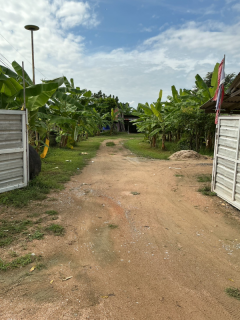 ขายที่ดินพร้อมบ้าน + สิ่งปลูกสร้าง เนื้อที่ ทั้งหมด 1ไร่ 2งาน 10.4ตรว.-202511151446231763192783032.png